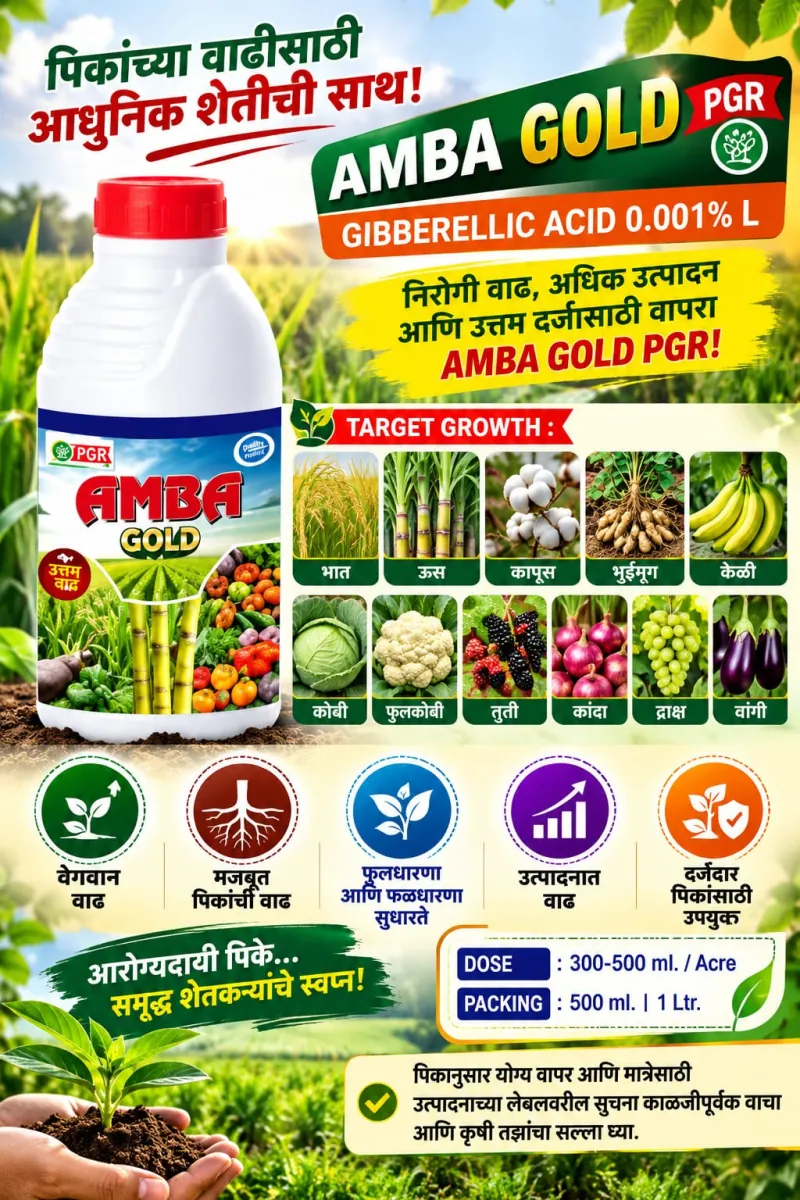 amba gold